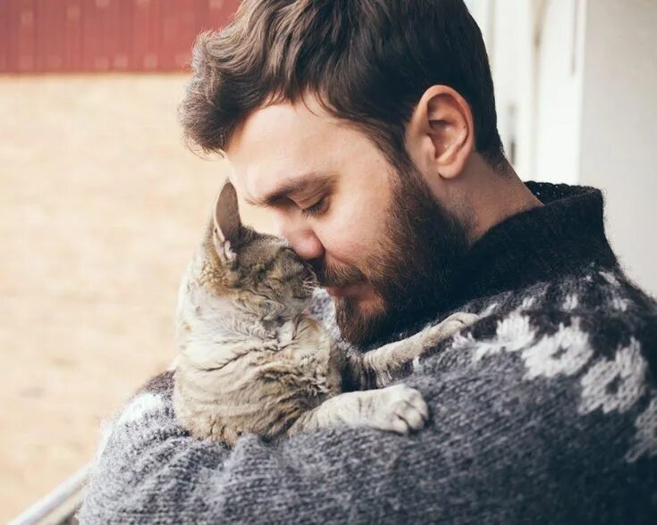 Котик мужчина фото Single Cat Ladies are Getting Love at Last Cats, Hug your cat day, Pets