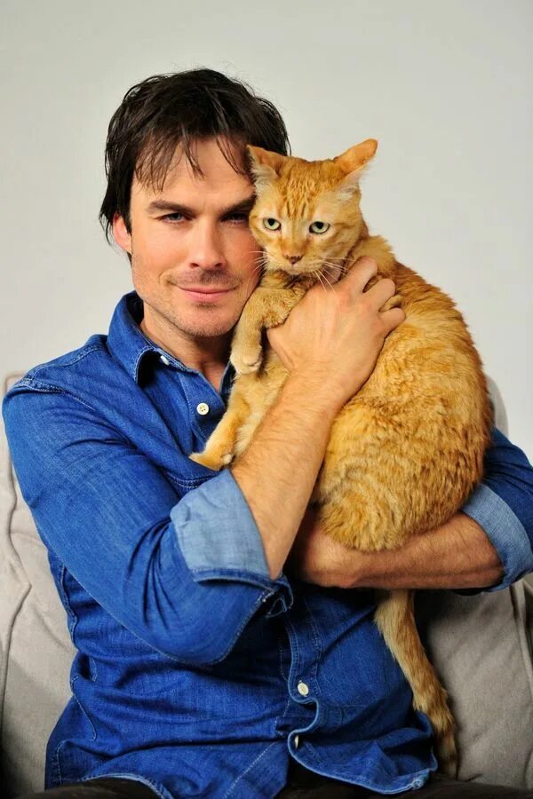 Котик мужчина фото Herec Ian Somerhalder a Moke Filmes de vampiros, Ian somerhalder, Gatos