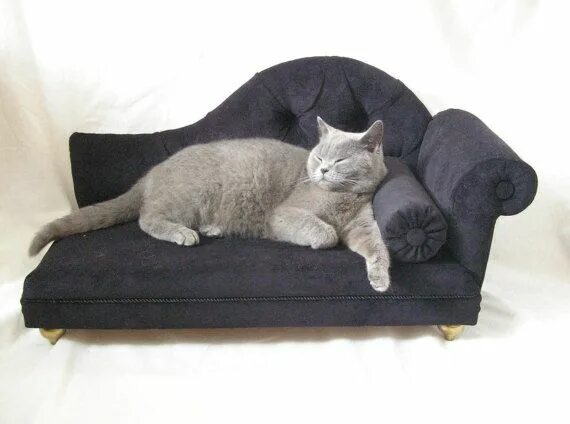 Котик на диване старое фото Velvet Sofa any color, bed dog, bed cat Cat bed, Dog sofa bed, Dog bed