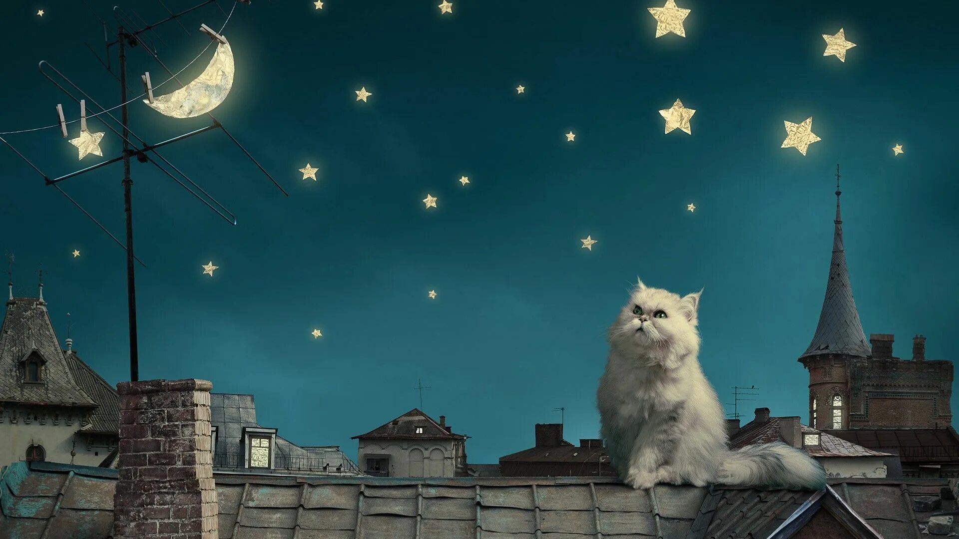 Котик над луной фото Moon and Stars Cat, Moon and Stars - Wallpaper #42338 Cats, The dreamers, Crazy 