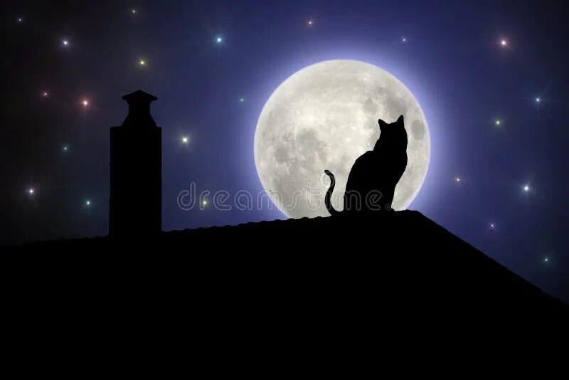 Котик над луной фото Cat on the roof at night stock illustration. Illustration of roof - 15686580