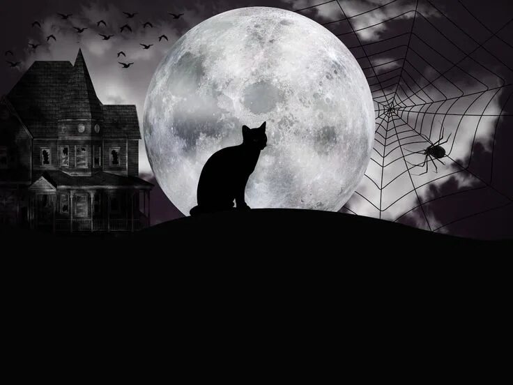 Котик над луной фото Gatos Fantasia(Fantasy Cat) Halloween wall art, Halloween wallpaper, Halloween i