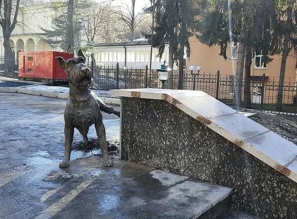 Котик пес просп ленина 101а фото Бронзовую скульптуру писающего пса открыли в Кисловодске: жители "за" и "против"