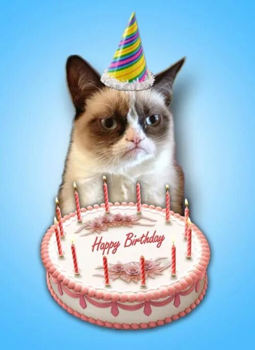 Котик поздравляет с днем рождения фото Grumpy Cat Grumpy cat birthday, Cat birthday card, Cat birthday