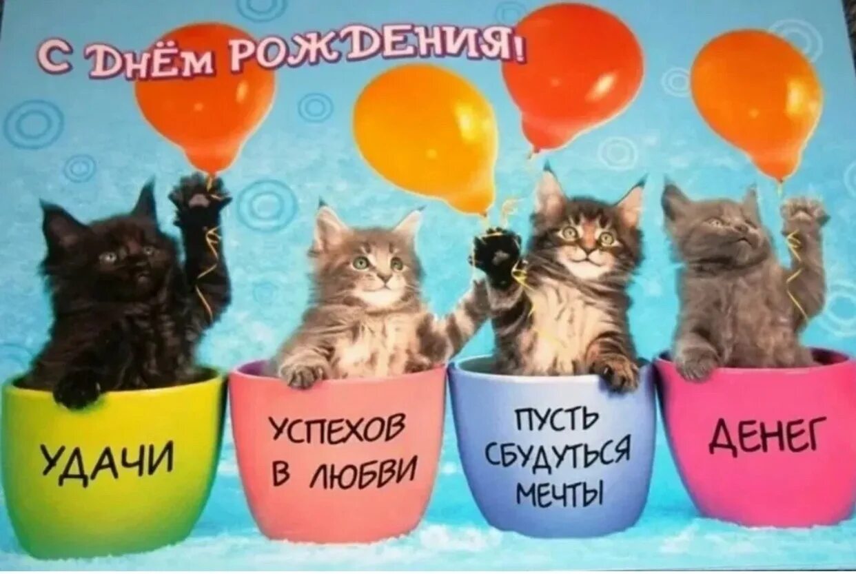 Котик поздравляет с днем рождения фото Котики поздравляют с днем рождения - С Днём Рождения, Соня! tre-i-dnr.ru