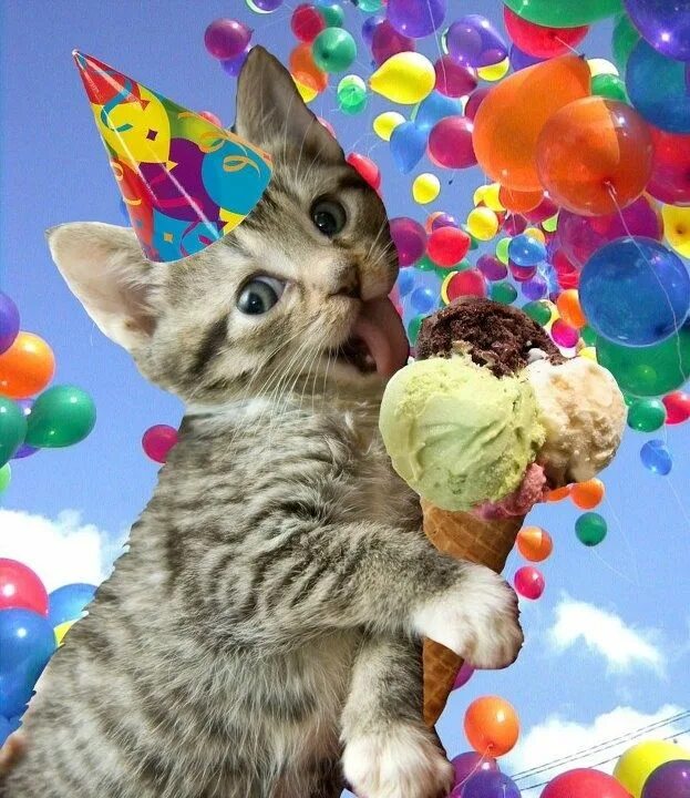 Котик поздравляет с днем рождения фото Pin on ааааа