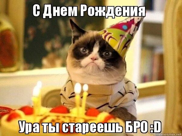 Котик с днем рождения картинки прикольные С Днем Рождения Ура ты стареешь БРО :D - Ура я старею Мемы о работе, Мемы, Забав