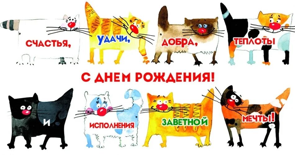 Котик с днем рождения картинки прикольные Администрация сообщества поздравляет с Днем Рождения наших подписчиков: Татьяна 