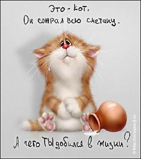 Котик с добрым утром картинки прикольные смешные xenopus 2010 02 Cat art, Cats illustration, Cat drawing