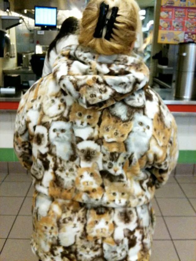 Котик шуба фото 41 People You Won't Believe Actually Exist Crazy cat lady, Crazy people, Crazy c