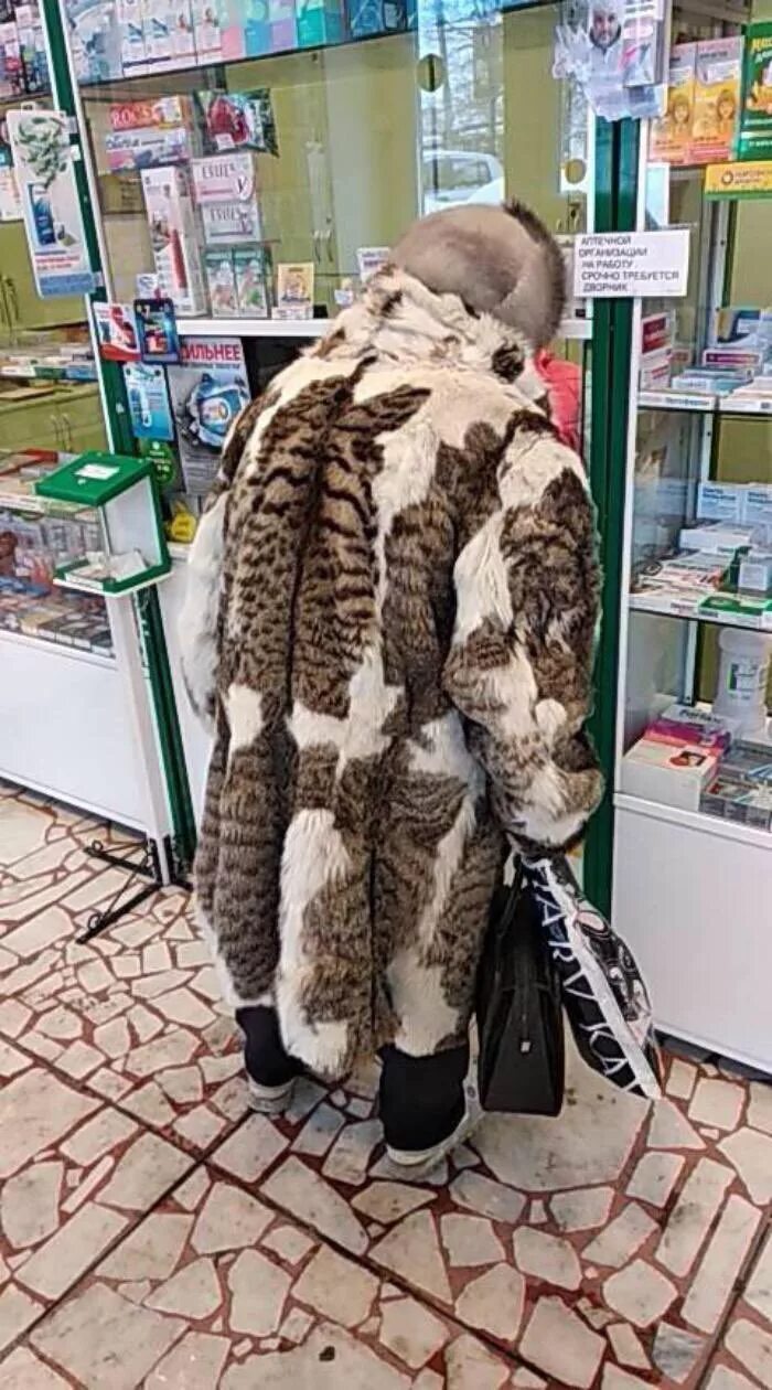 Котик шуба фото L V"T nlntlAu 1 7 W ' JAS 1 r1 * i Ir * Y 1 . Æ / шаверма :: шуба :: котэ (прико
