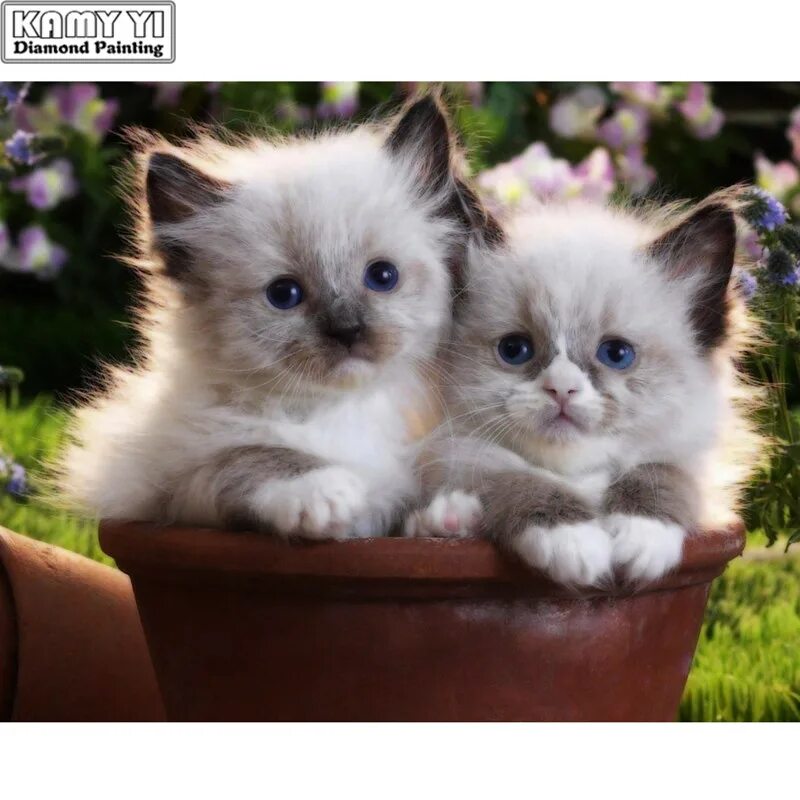 Котик смотреть фото DIY 5D Full Round&Square Diamond Embroidery Cute Twins Cat Diamond Painting Cros