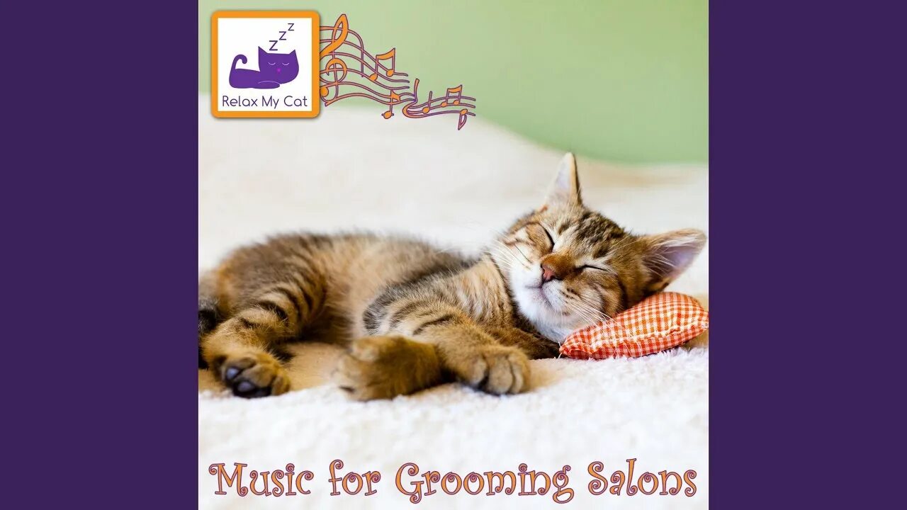 Котик спит фото Cat Spa Music - RelaxMyCat