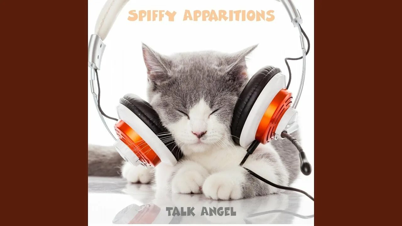 Котик в наушниках фото Trapped By Her Rhythm - Spiffy Apparitions Shazam
