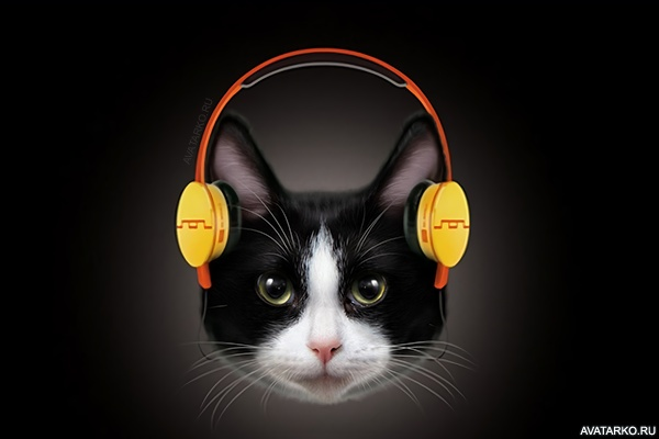 Котик в наушниках фото Музыкальный профиль melody_powers Last.fm
