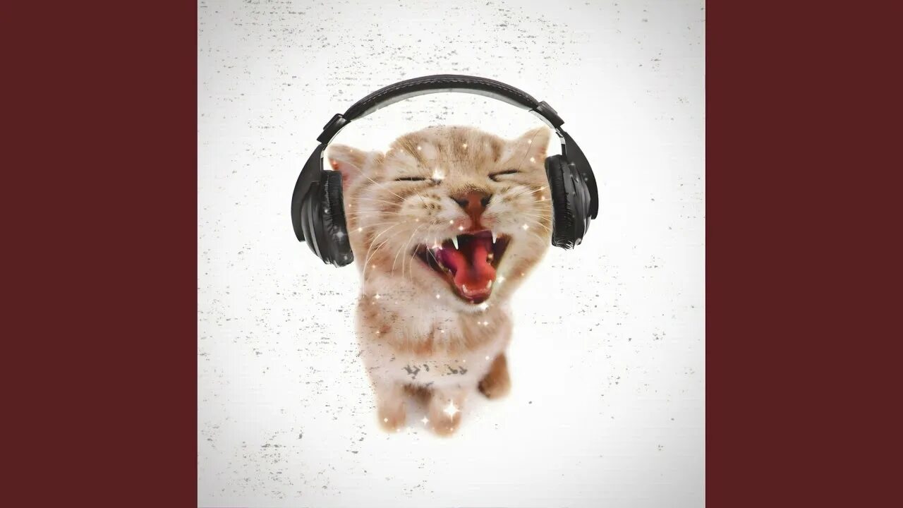 Котик в наушниках фото CHIPI CHIPI CHAPA CHAPA (Phonk Remix) - Axtreon: Song Lyrics, Music Videos & Con