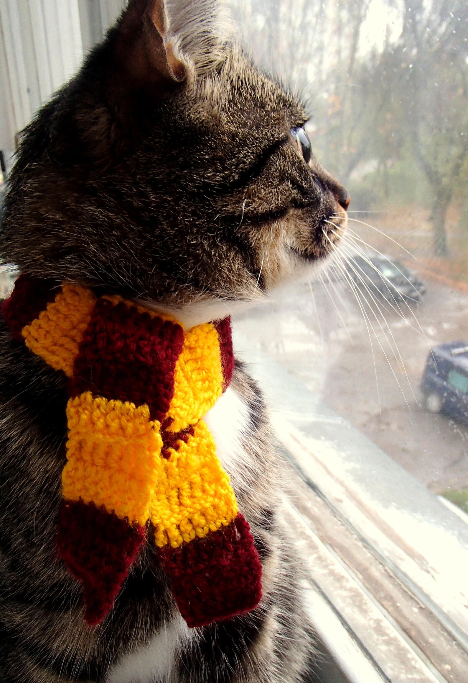 Котик в шарфике красивое фото Scarf for cat Wizard houses cat scarf Wizard cat collar Maroon Etsy