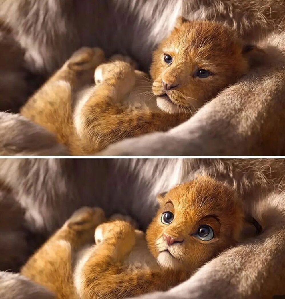 Котика симбу фото Artists Give The Lion King’s Characters An Alternative Look And It Goes Viral (1