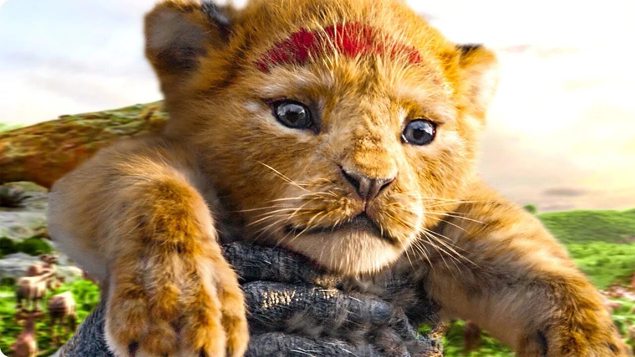 Котика симбу фото THE LION KING Trailer (2019) - YouTube