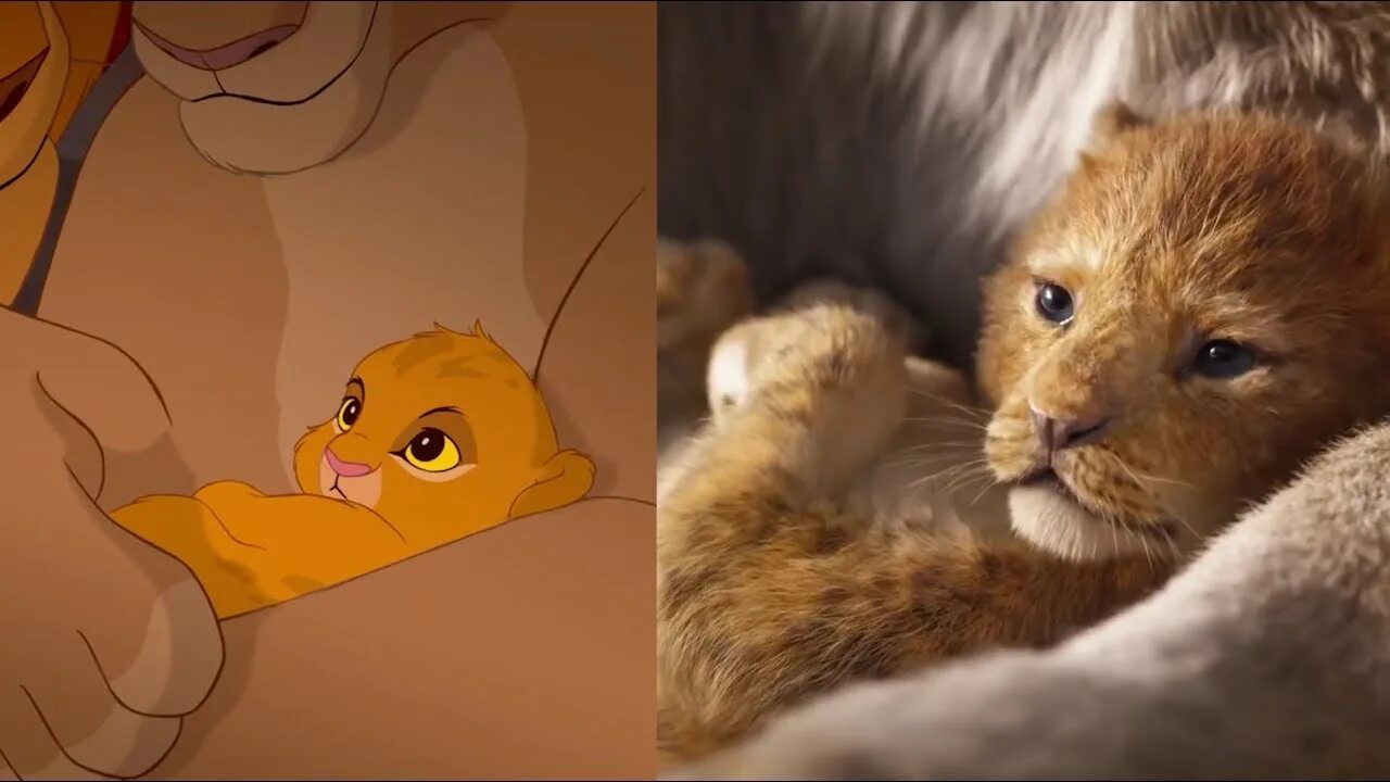 Котика симбу фото Король Лев фильм - Сравнение с оригиналом Король Лев 2019 vs Король Лев 1994 - Y