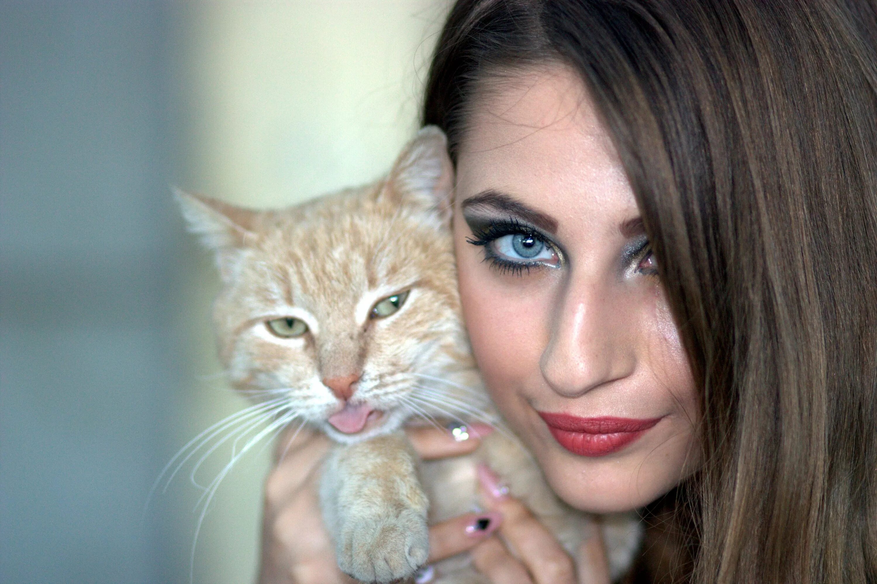 Котики девушки фото Free Images : girl, kitten, facial expression, close up, face, nose, whiskers, e