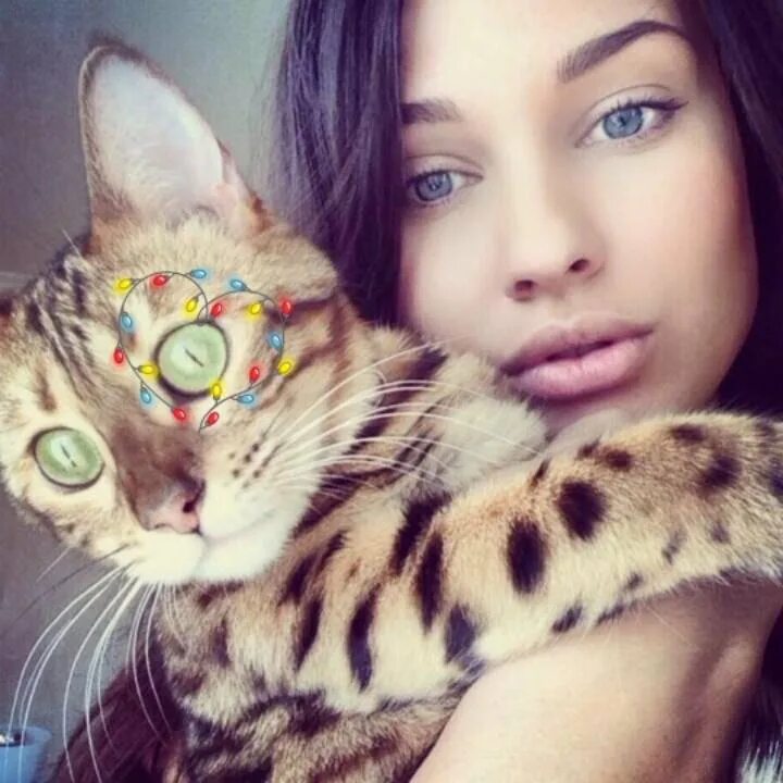 Котики девушки фото Таня, 25 years old, Novosibirsk, would like to meet a guy at the age of 20 - 24 
