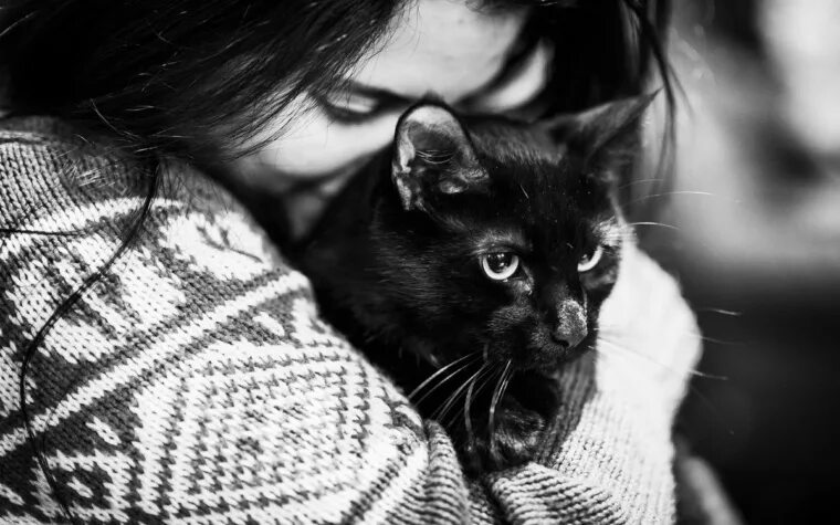 Котики девушки фото Настоящая женщина - всегда кошка. Она сама выбирает с кем комфор - Психология - 