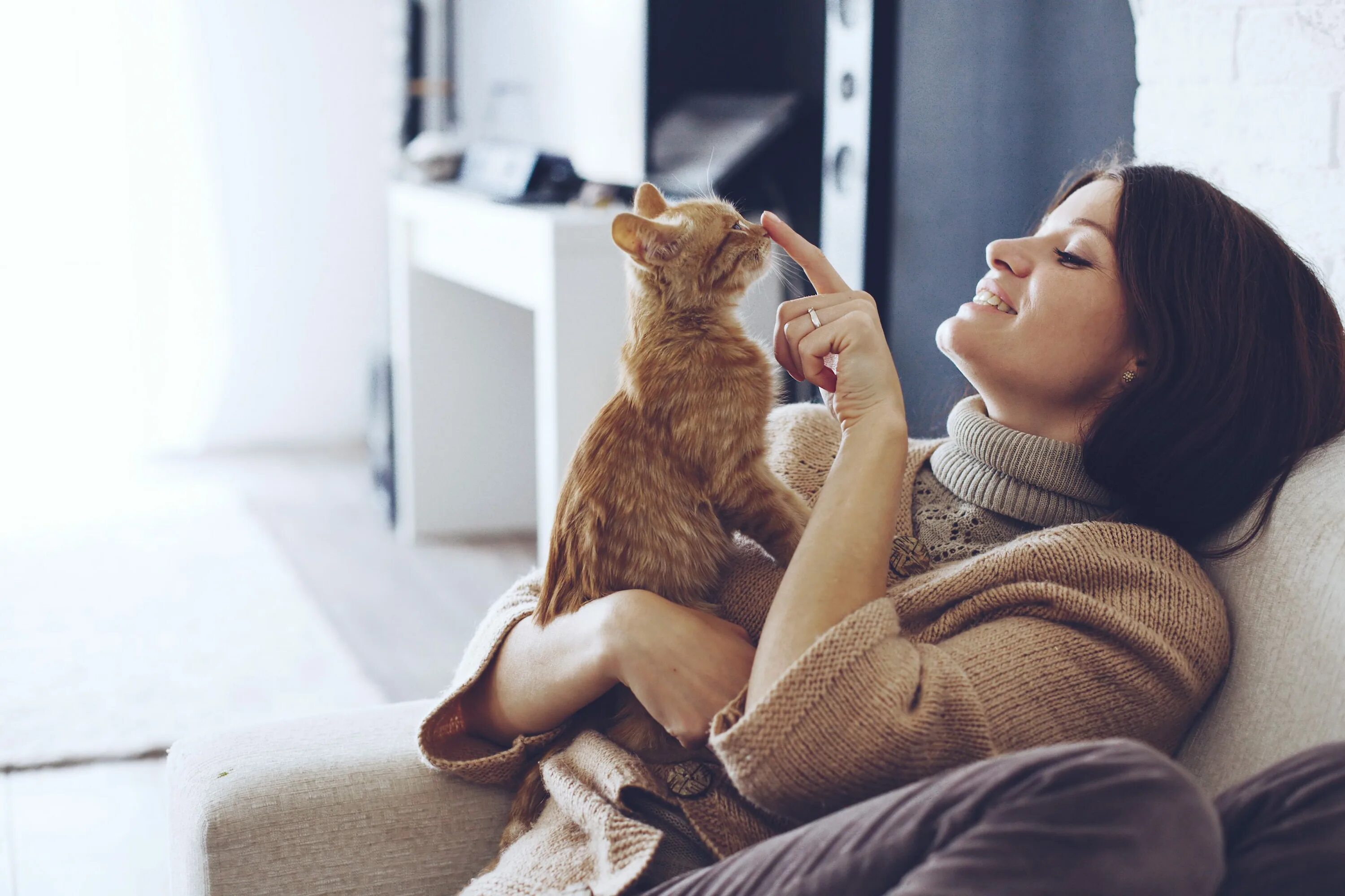 Котики девушки фото Pet Hub - NIQ
