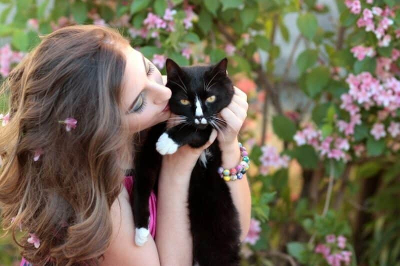Котики девушки фото Do Cats Like Kisses? Feline Preferences Revealed - Catster