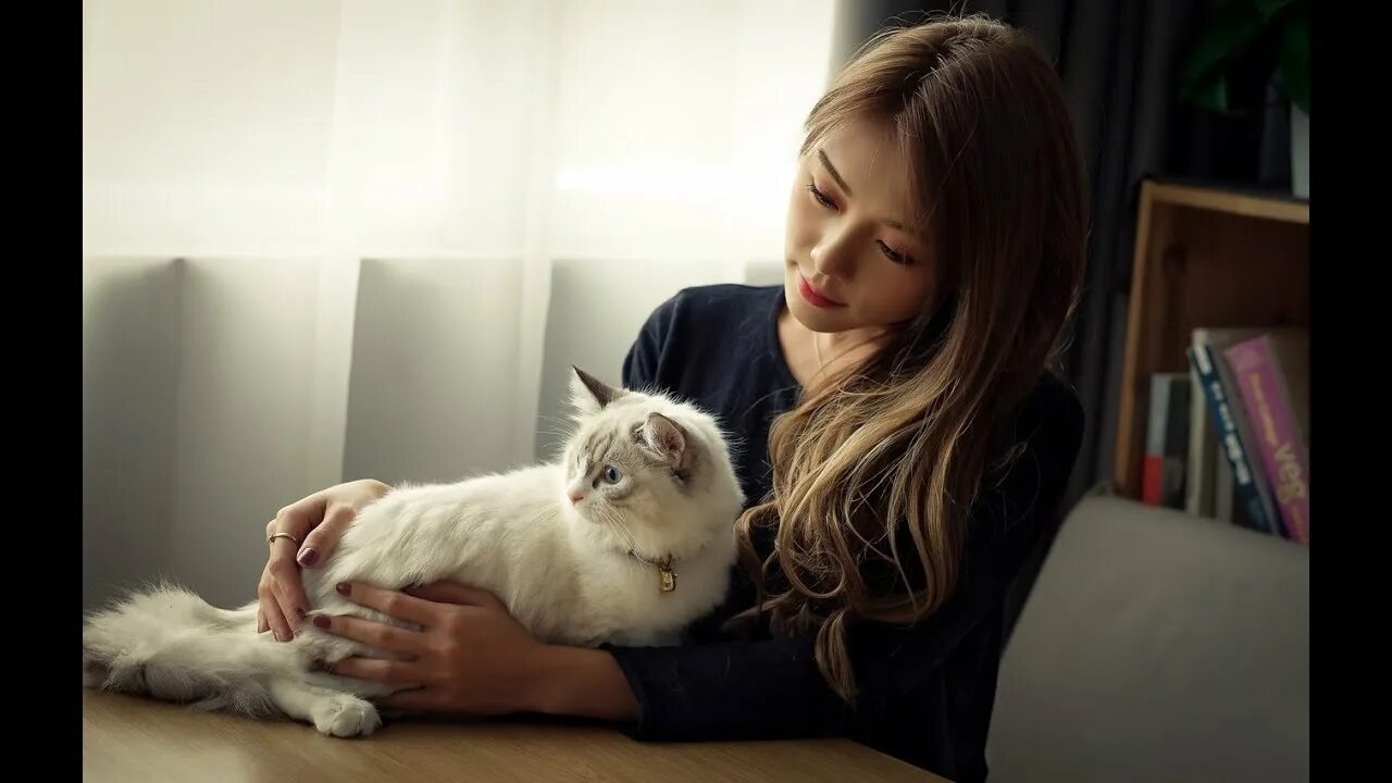 Котики девушки фото Mouse Video For Cat To Watch - Best Funny Video Animals 22 - YouTube