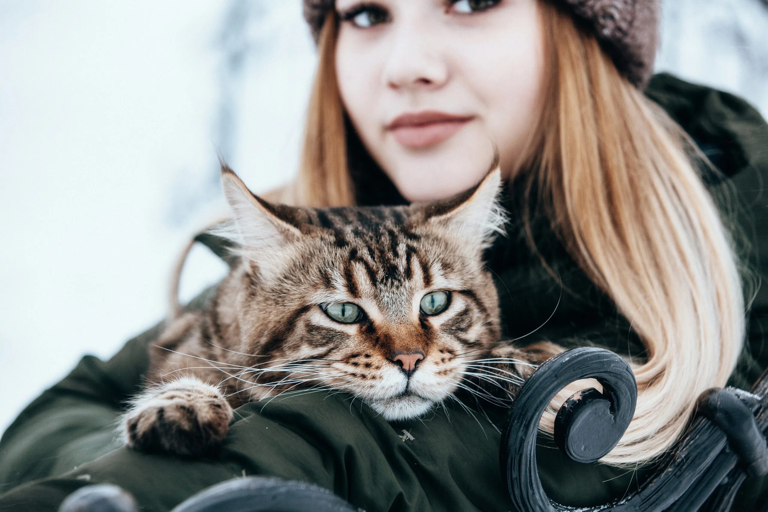 Котики девушки фото Скачать обои кошка, кот, девушка, настроение, мордочка, Анастасия Голубева, разд