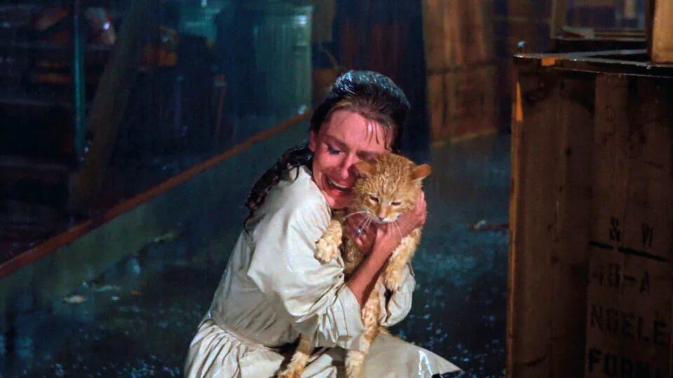 Котики фильм актеры и роли фото 32 of the most famous cats