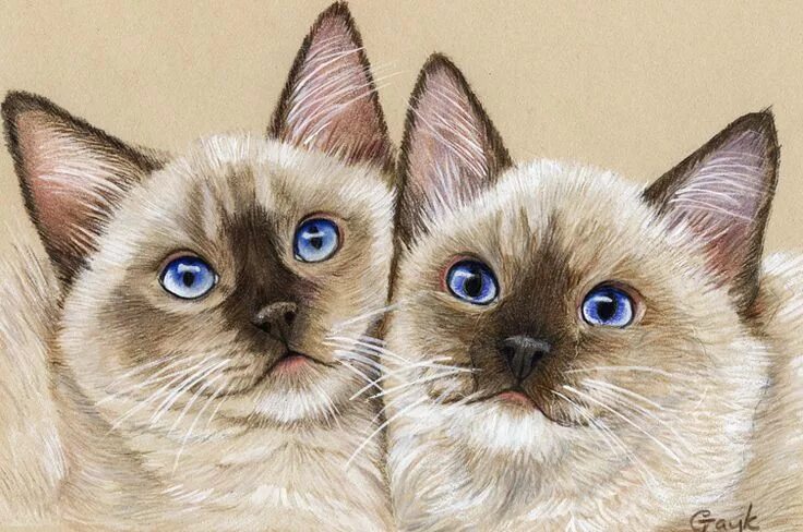 Котики фото картинки нарисованные Художник Gayle Mason Кошачьи картины, Кошачий арт, Кошки и котята