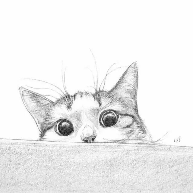 Котики фото картинки нарисованные Pin en Pretty wallpapers Pintura de gato, Bocetos increíbles, Dibujos