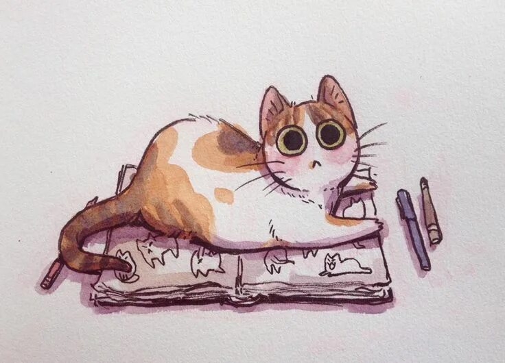 Котики фото котиков нарисовать Carrie L on Instagram: "This is the Stop Drawing Cat. If you are looking at this