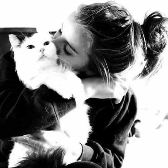 Котики фото на аву для девушек ❤ ❤ ❤ ❤ ❤ ❤ ❤ ❤ ❤ ❤ Cute cats photos, Cat photography, Baby animal drawings