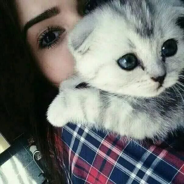Котики фото на аву для девушек Pin by Zozo ♡ on صور بنات كيوت Cute girl pic, Cute girl face, Girly pictures