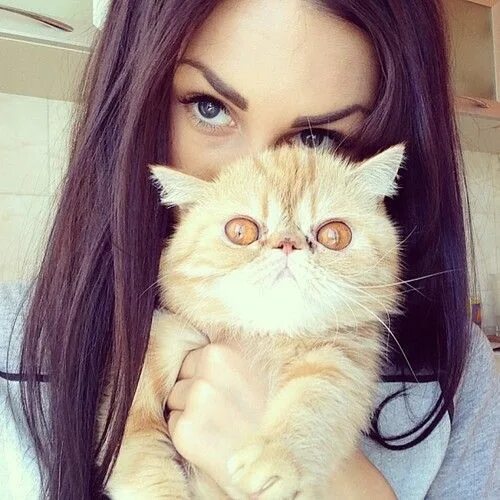 Котики фото на аву для девушек Cute Cat and Human Bonding