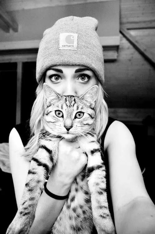 Котики фото на аву для девушек Pin on * snapshot