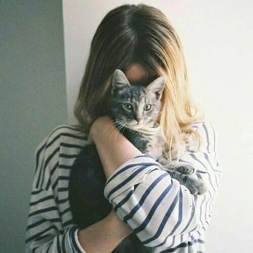 Котики фото на аву для девушек Ghim của luizaaaa nascimentodnd trên inspirações para fotos Mèo, Đang yêu