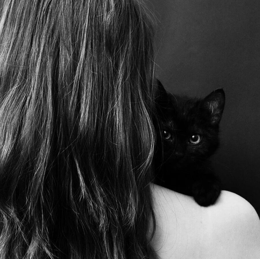 Котики фото на аву для девушек black cat by mmagni on DeviantArt in 2024 Black cat, Cats, Cat photography