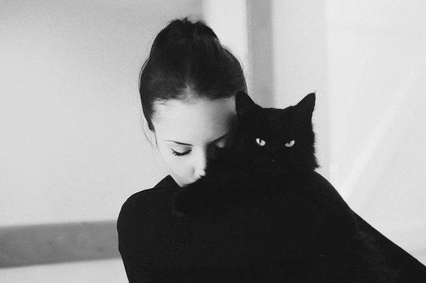 Котики фото на аву для девушек Pin by Cus Jah on Photo ♥ Cats, Cat photography, Cat photo