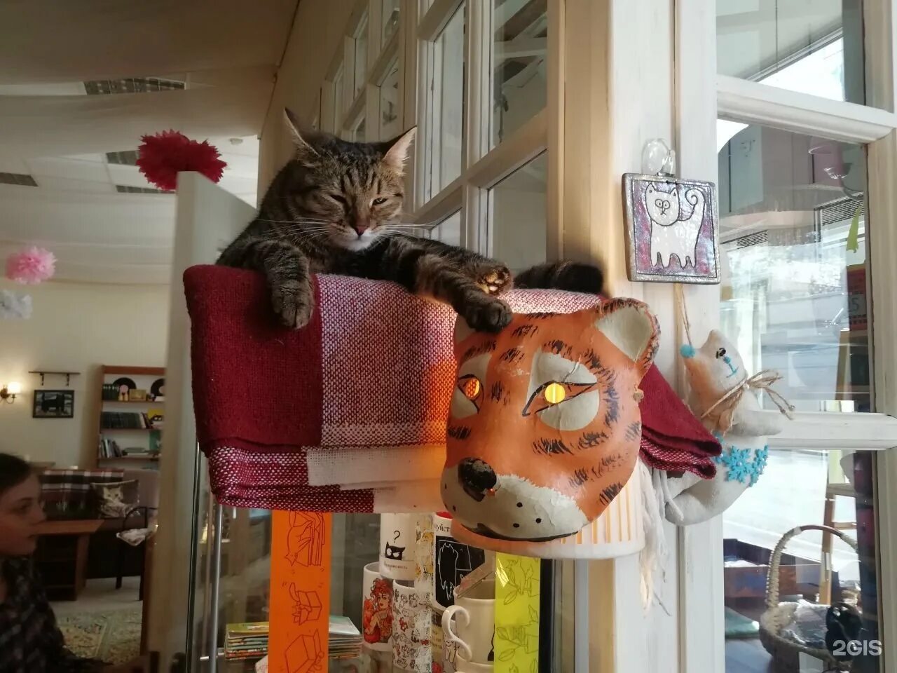 Котики и люди ул гиляровского 17 фото Картинки КОТОКАФЕ КОТИССИМО НОВАЯ БАСМАННАЯ УЛ 31