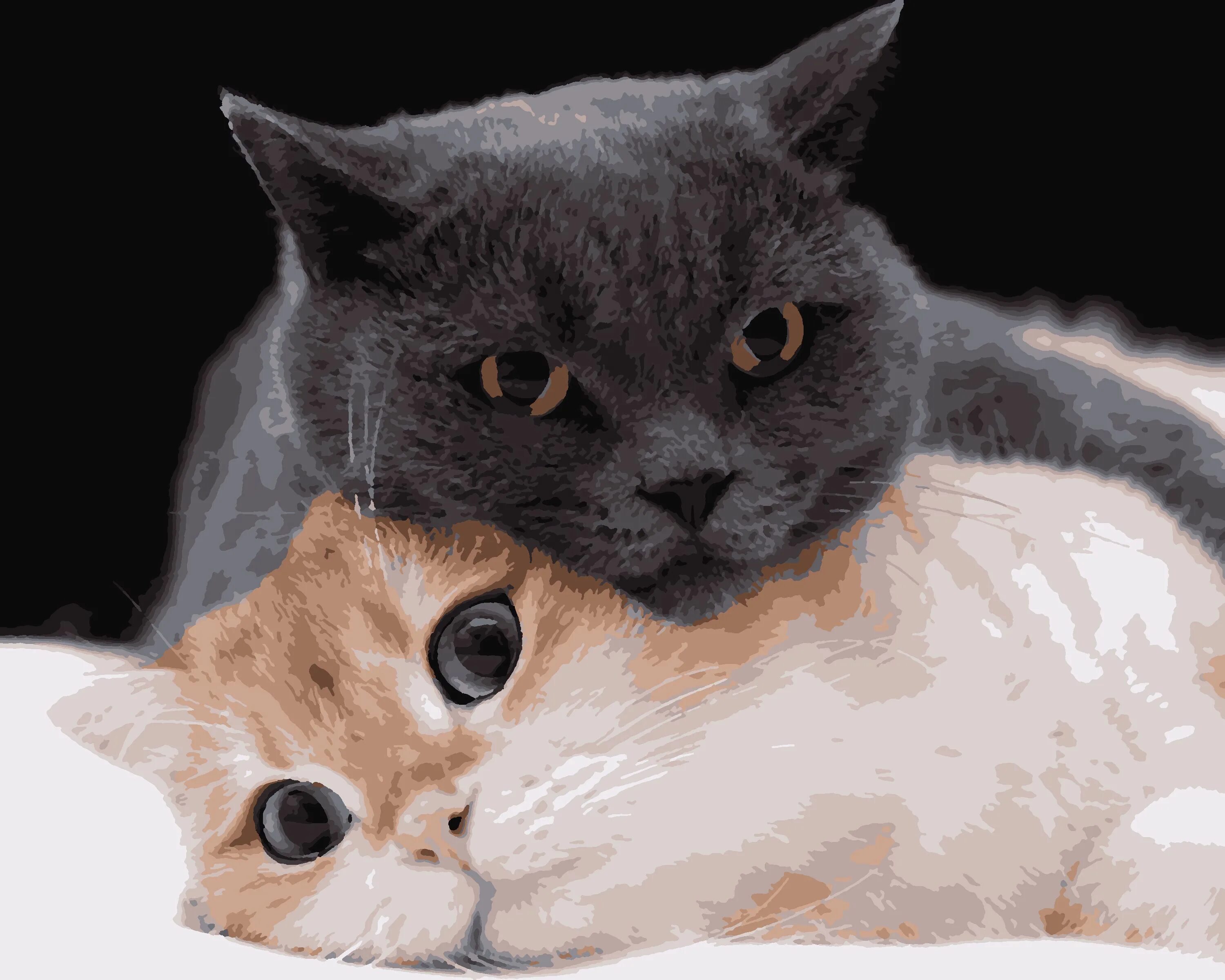 Котики любовь фото Картина по номерам на холсте 50х40 см "Кот и кошка", сложность высокая, 16 цвето