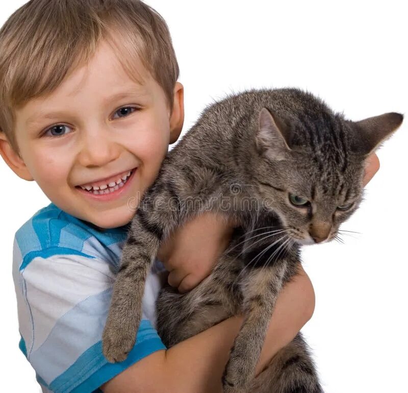 Котики мальчики фото 1,310 Jovial Male Stock Photos - Free & Royalty-Free Stock Photos from Dreamstim