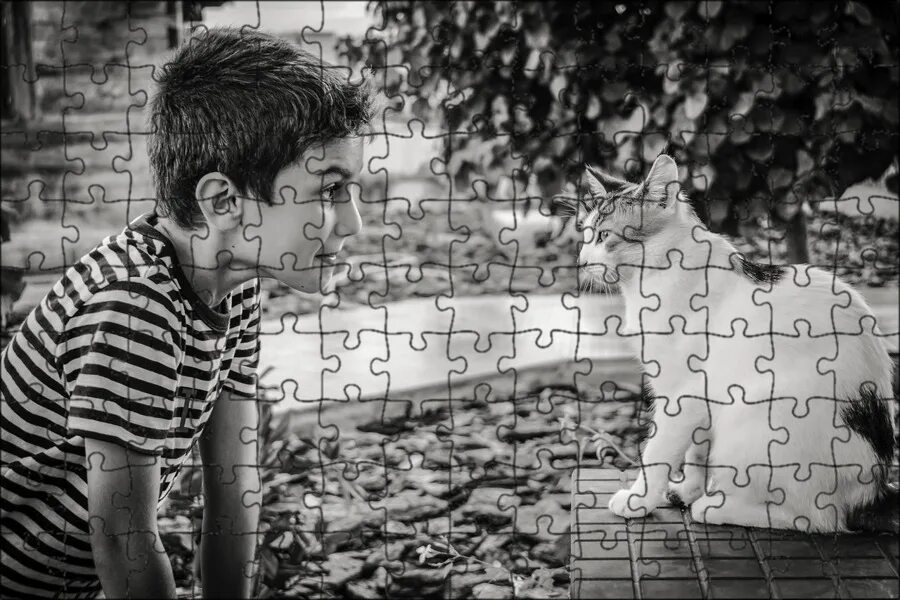 Котики мальчики фото Магнитный пазл 27x18см."Мальчик, кошка, животное" на холодильник - купить с дост
