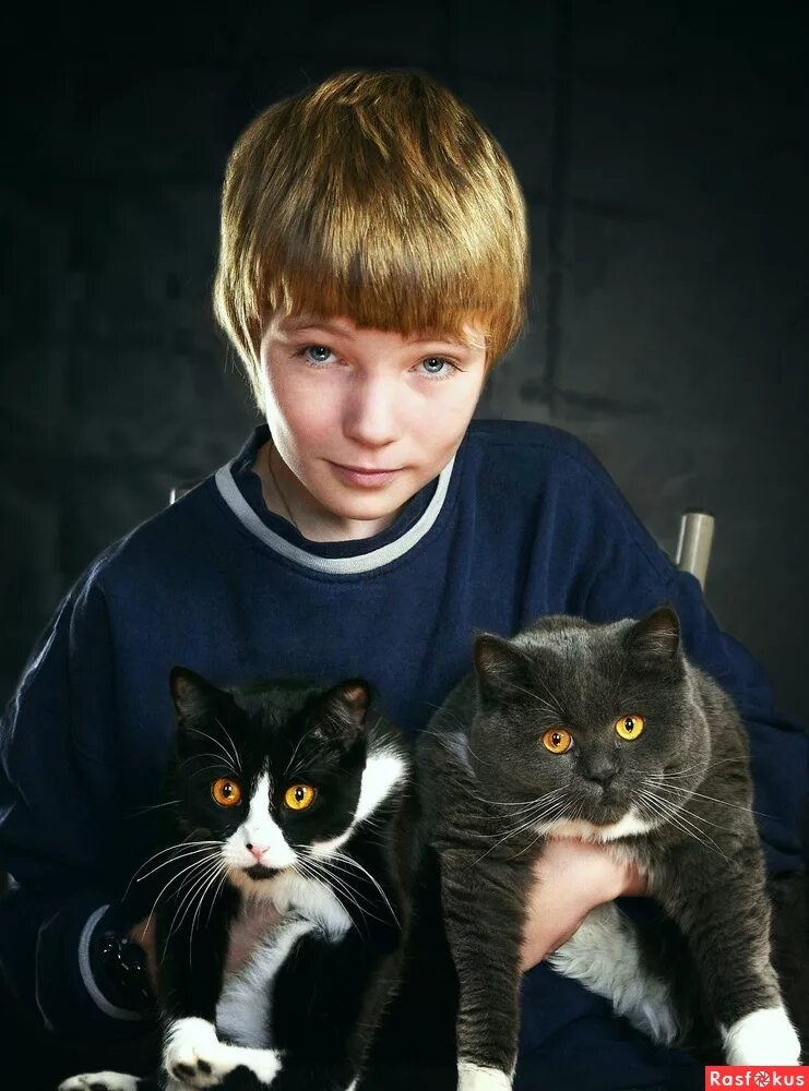Котики мальчики фото Пашка и коты. Фотограф Михаил Гущин