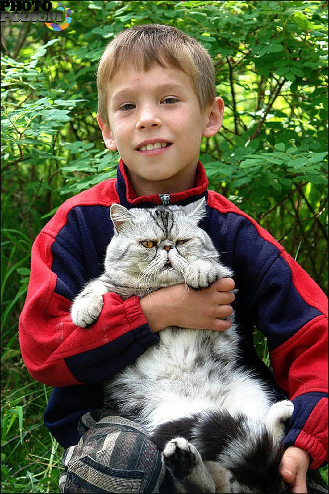 Котики мальчики фото Photopodium.com - Любимый кот