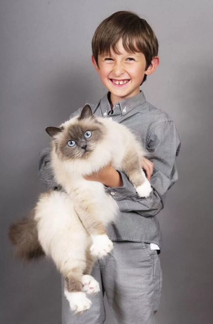 Котики мальчики фото 24 Heroic Cats Who Saved Their Own And Other Species Cats, Cats, kittens, Animal