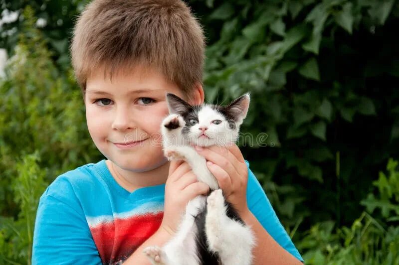 Котики мальчики фото Olgavolodina (Olgavolodina) - Photos - Страница 47